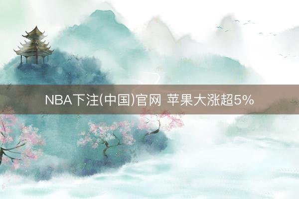 NBA下注(中国)官网 苹果大涨超5%