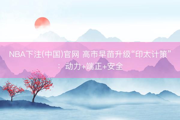 NBA下注(中国)官网 高市早苗升级“印太计策”：动力+端正+安全