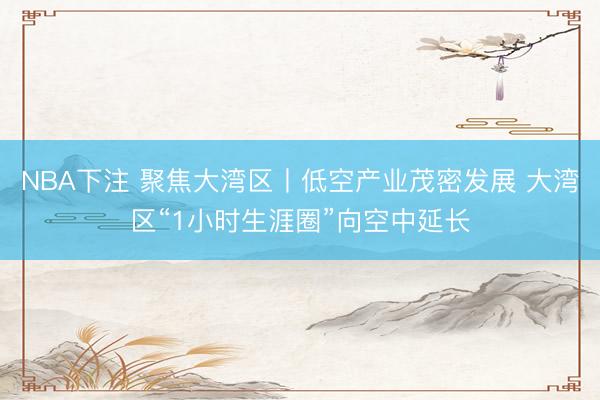 NBA下注 聚焦大湾区丨低空产业茂密发展 大湾区“1小时生涯圈”向空中延长