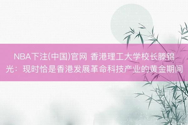 NBA下注(中国)官网 香港理工大学校长滕锦光:现时恰是香港发展革命科技产业的黄金期间