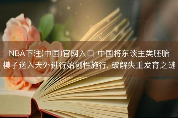 NBA下注(中国)官网入口 中国将东谈主类胚胎模子送入天外进行始创性施行， 破解失重发育之谜