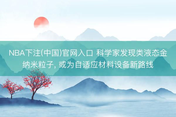 NBA下注(中国)官网入口 科学家发现类液态金纳米粒子， 或为自适应材料设备新路线
