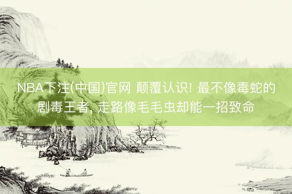 NBA下注(中国)官网 颠覆认识! 最不像毒蛇的剧毒王者， 走路像毛毛虫却能一招致命