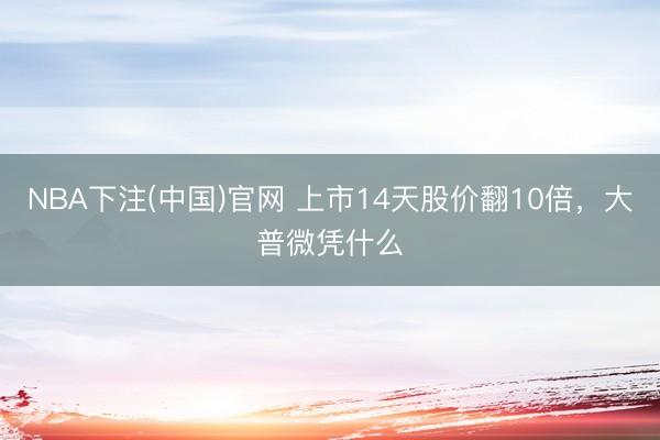 NBA下注(中国)官网 上市14天股价翻10倍，大普微凭什么