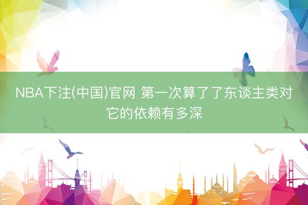 NBA下注(中国)官网 第一次算了了东谈主类对它的依赖有多深