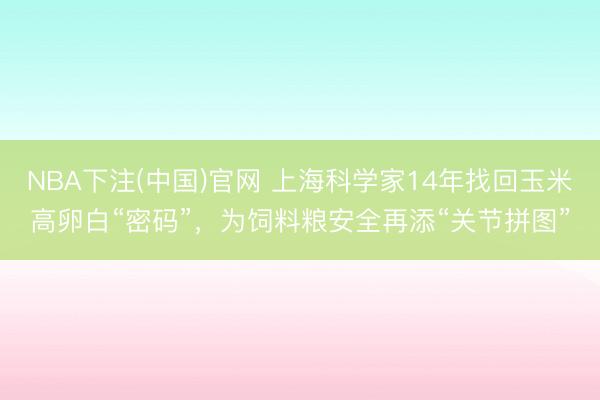 NBA下注(中国)官网 上海科学家14年找回玉米高卵白“密码”，为饲料粮安全再添“关节拼图”