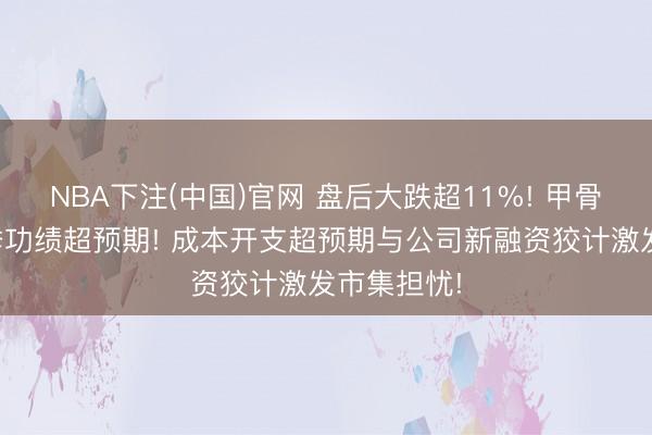 NBA下注(中国)官网 盘后大跌超11%! 甲骨文第四财季功绩超预期! 成本开支超预期与公司新融资狡计激发市集担忧!