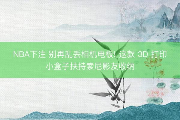 NBA下注 别再乱丢相机电板! 这款 3D 打印小盒子扶持索尼影友收纳